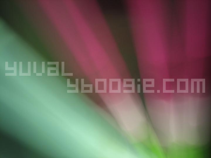 IMG_9534.jpg