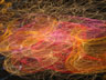 images series 4-IMG_0042