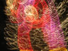 images series 2-IMG_0050
