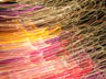 images series 6-IMG 0091