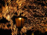 images series 8-IMG_0291