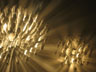images series 13-IMG_2063